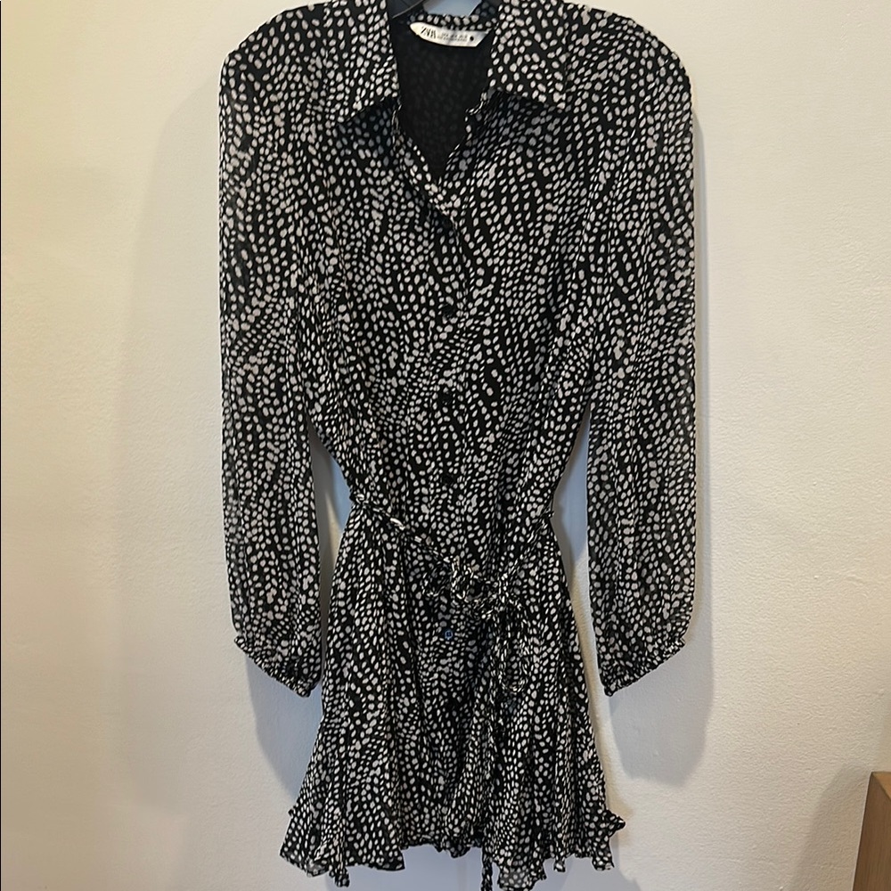 Button down sheer Zara dress